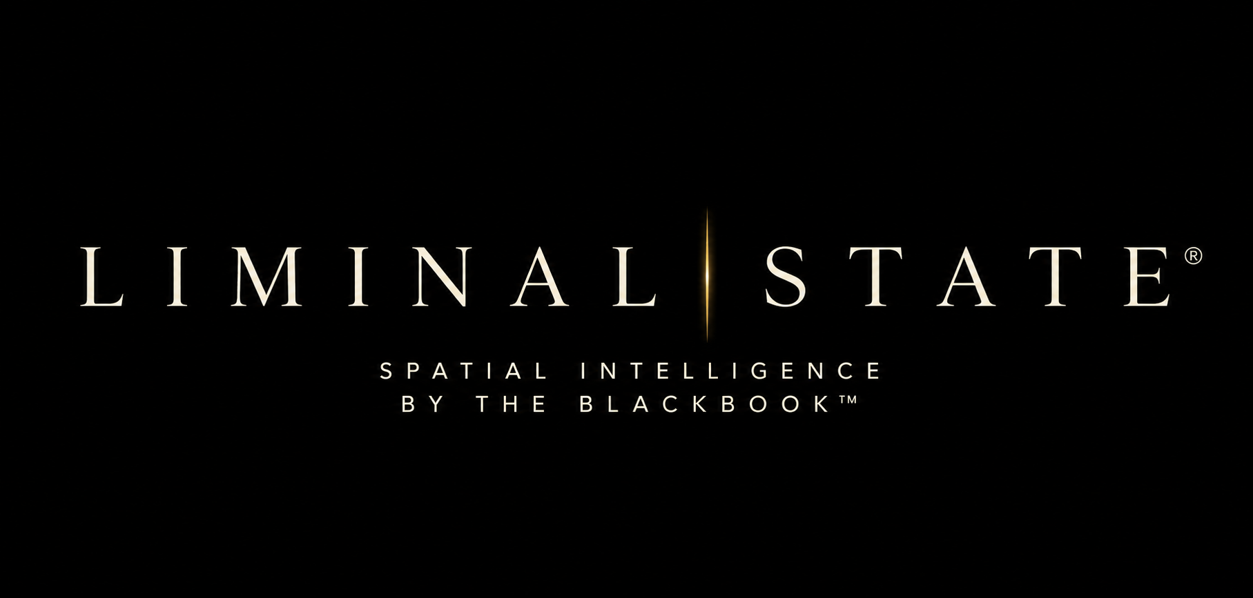 Liminal State® — Spatial Intelligence — by The BlackBook™